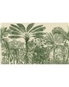 Viñales Valley Palmier 97711