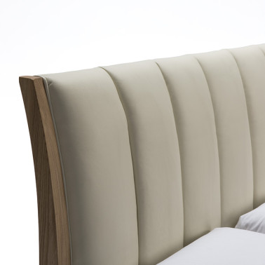 CAMA REF.15736-01