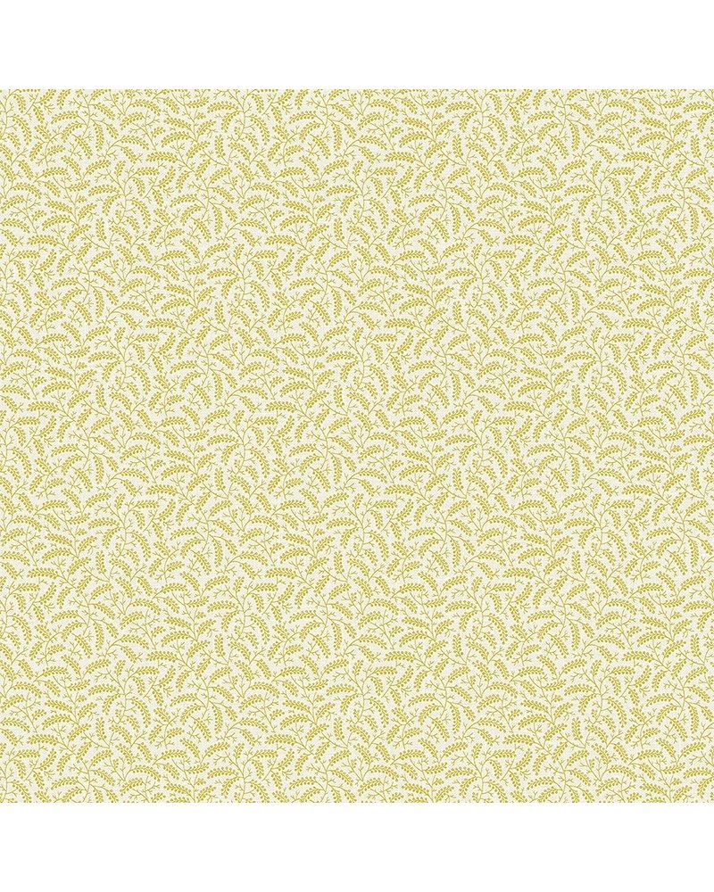 FC62203 FC62203