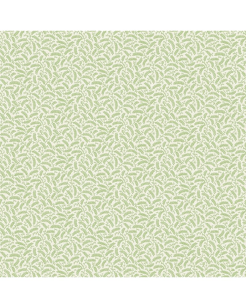 FC62204 FC62204