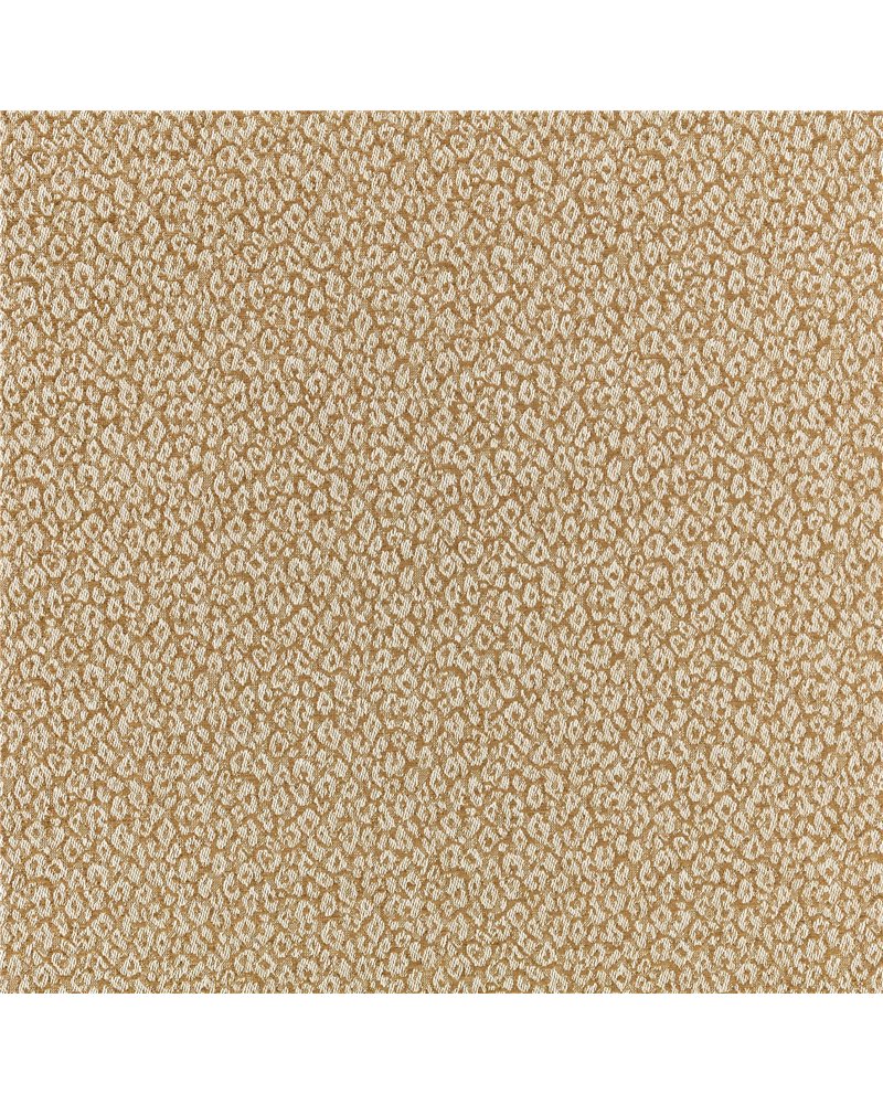 Kitty Ochre 7998-03 Kitty Ochre 7998-03