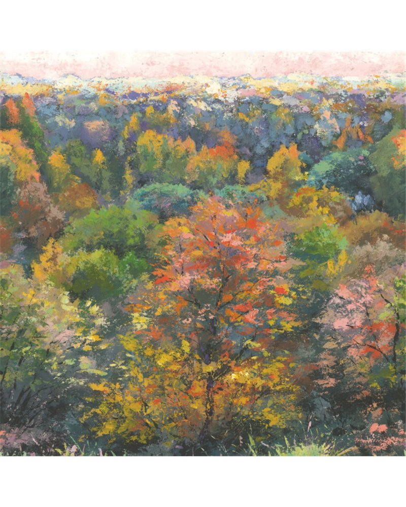 Indian Summer October S 88973705 Indian Summer October S 88973705
