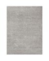 CARPET TENDER 71181-060