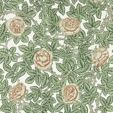 Rambling Rose Leafy Arbour Pearwood MEWW217208