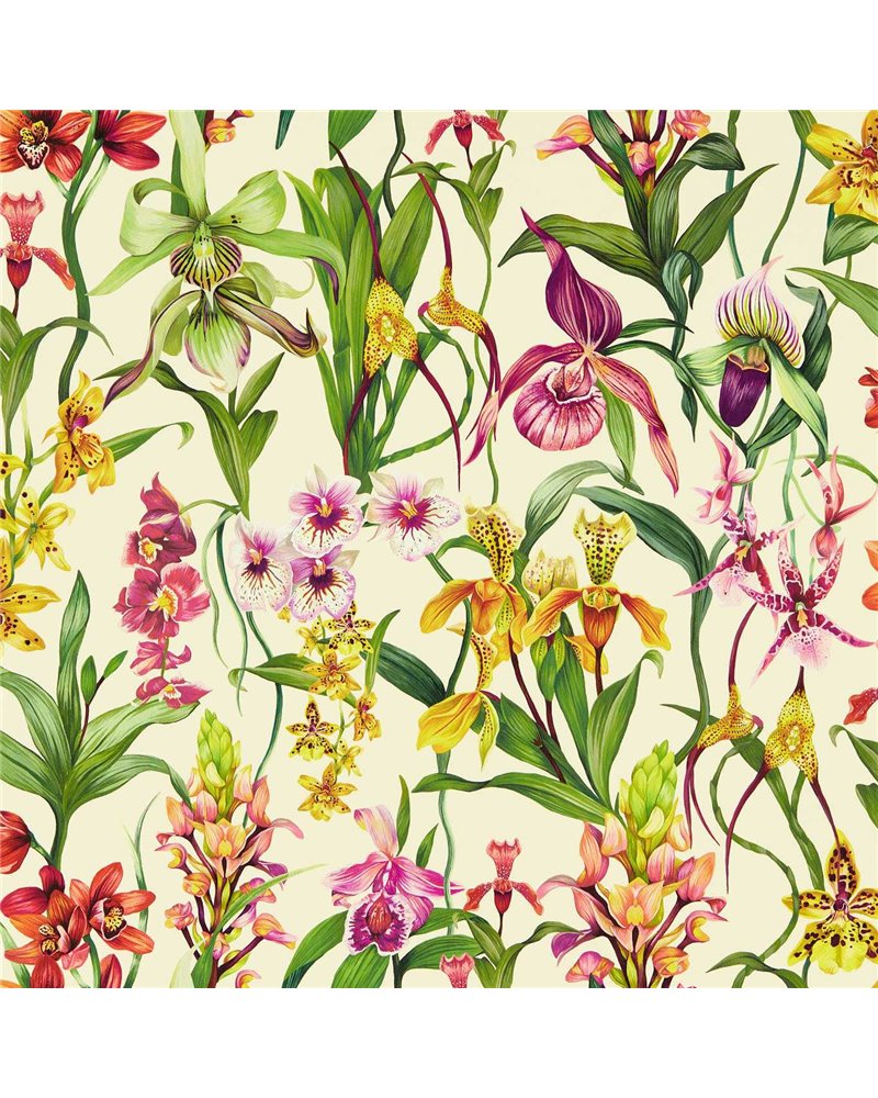 Kalina Parchment Forest Azalea HC4W113009 Kalina Parchment Forest Azalea HC4W113009