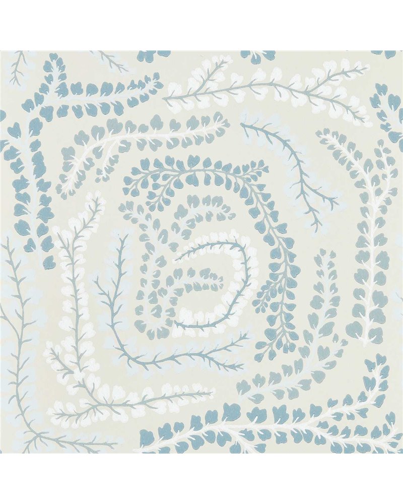 Fayola Celestial First HC4W113020 Fayola Celestial First HC4W113020