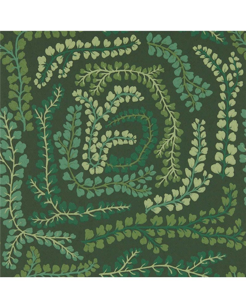 Fayola Fig Leaf Clover HC4W113019 Fayola Fig Leaf Clover HC4W113019