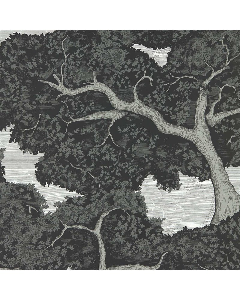 Eternal Oak Ebony First Light HC4W113040 Eternal Oak Ebony First Light HC4W113040