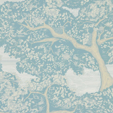 Eternal Oak Skyblue First Light HC4W113023