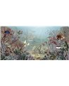 Coral Creatures