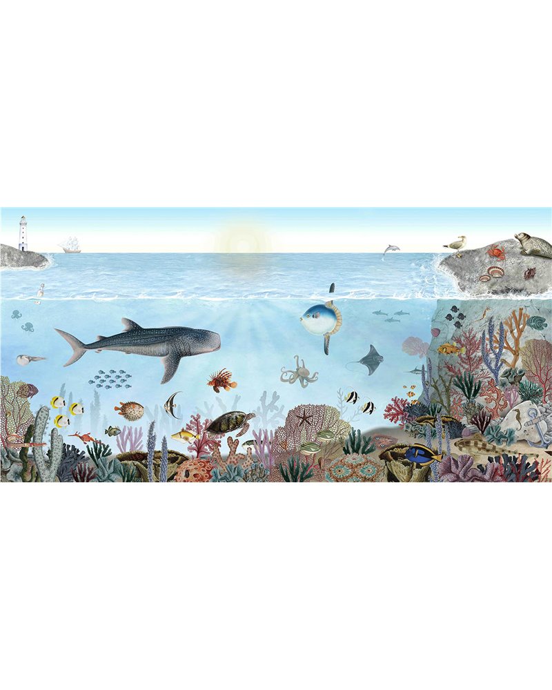 Ocean Lookbook Ocean Lookbook