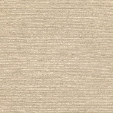 Chandbali Wide Gold W595-10