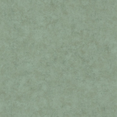 Beton Uni Vert D Eau Fonce 101487670