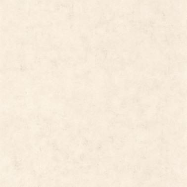 Beton Uni Taupe Beige Clair 101481258