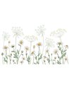 Dazzling Daisies - White