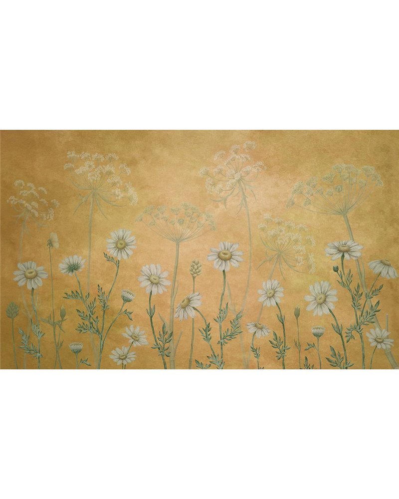 Dazzling Daisies - Yellow Dazzling Daisies - Yellow