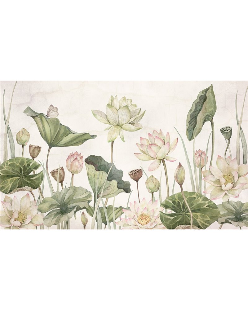 Lovely Water Lillies Lovely Water Lillies