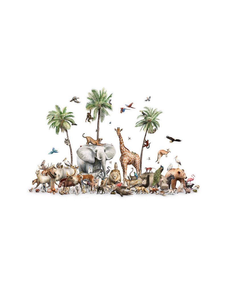 Beautiful Biodiversity Beautiful Biodiversity