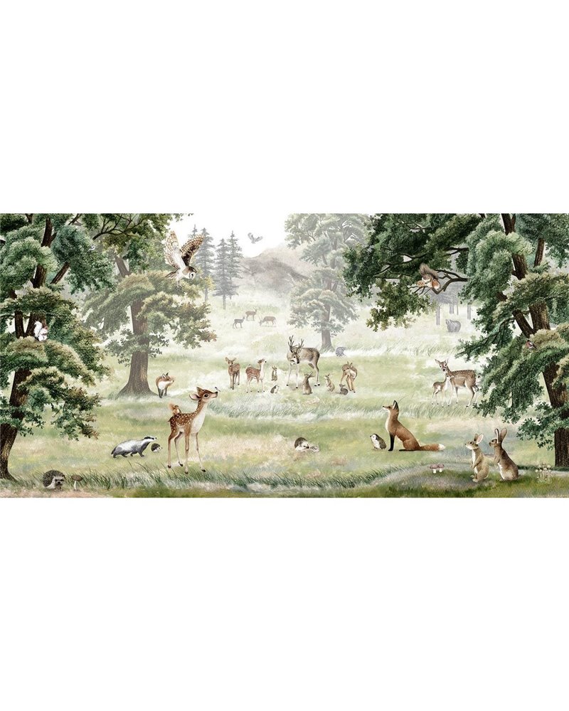 Forest Fun Forest Fun