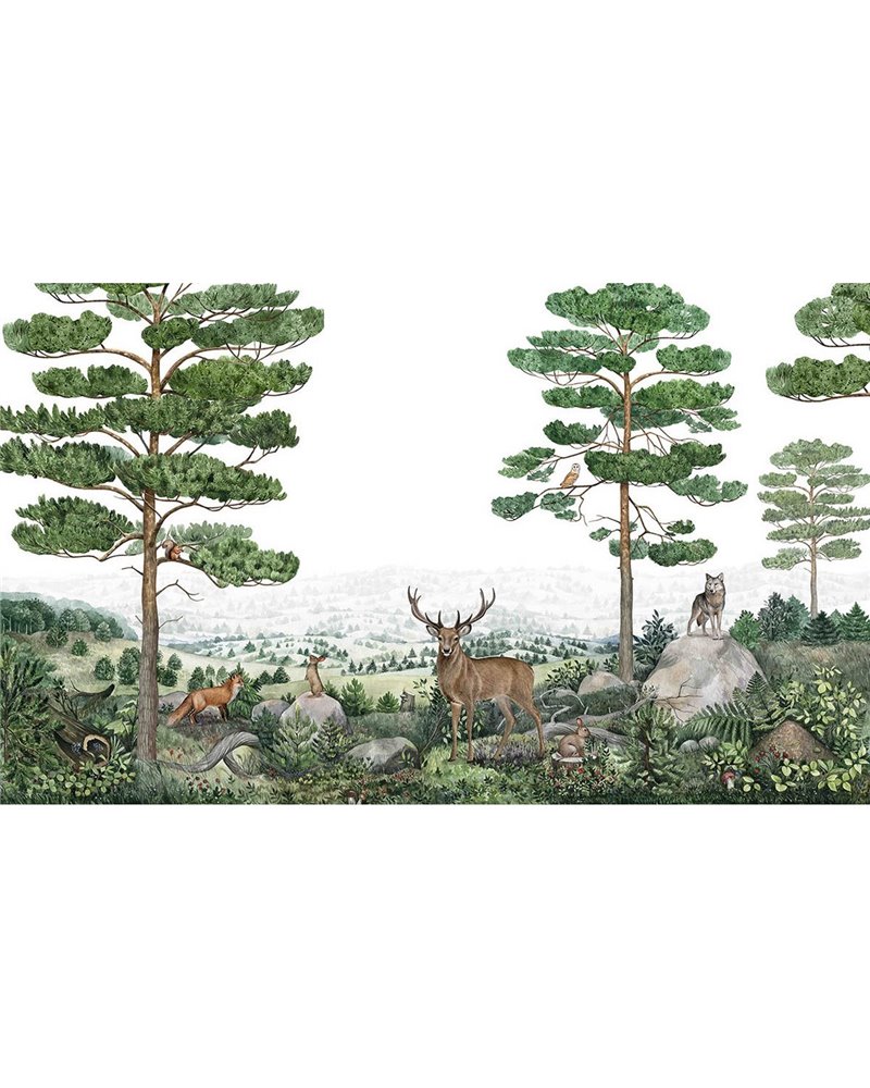 Forest Vista Forest Vista