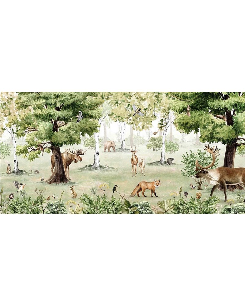 Woodland Wonders Woodland Wonders