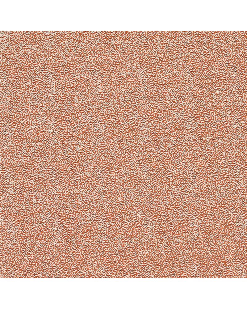 Sow Baked Terracotta Soft Focus HC4F133924 Sow Baked Terracotta Soft Focus HC4F133924