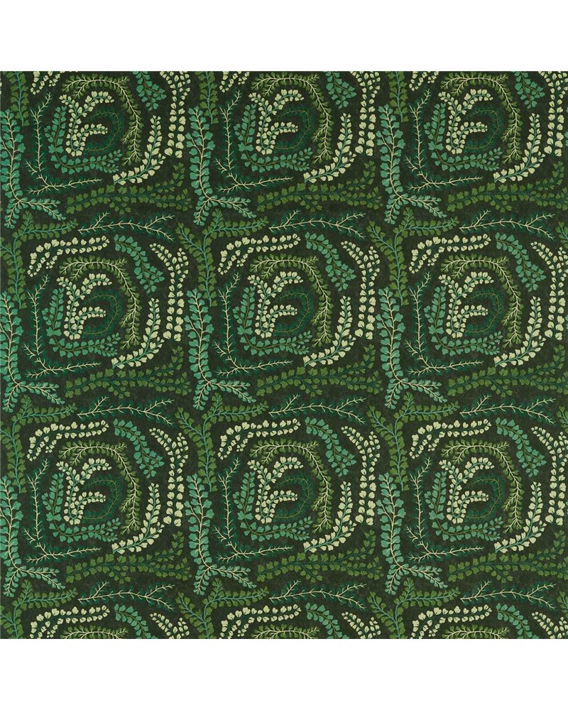 Fayola Fig Leaf Clover Succulent HC4F121165 Fayola Fig Leaf Clover Succulent HC4F121165