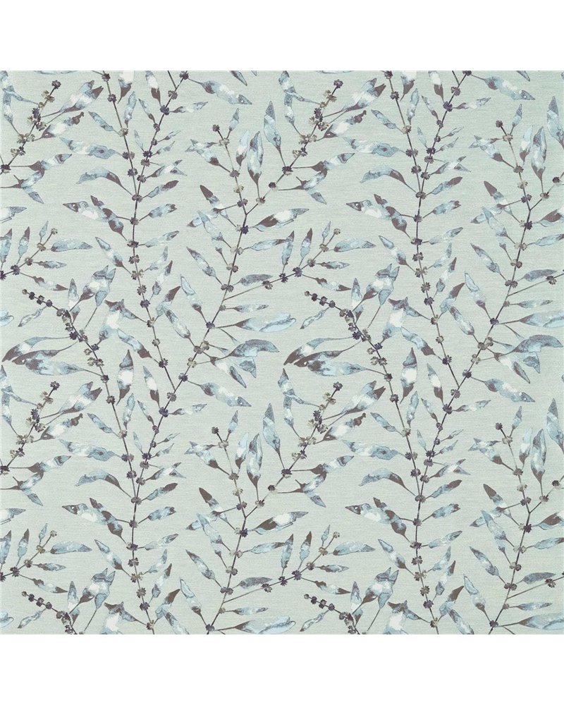 Chaconia Indigo Seaspray HANZ132291 Chaconia Indigo Seaspray HANZ132291