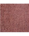Alpine Reptile Red 81270