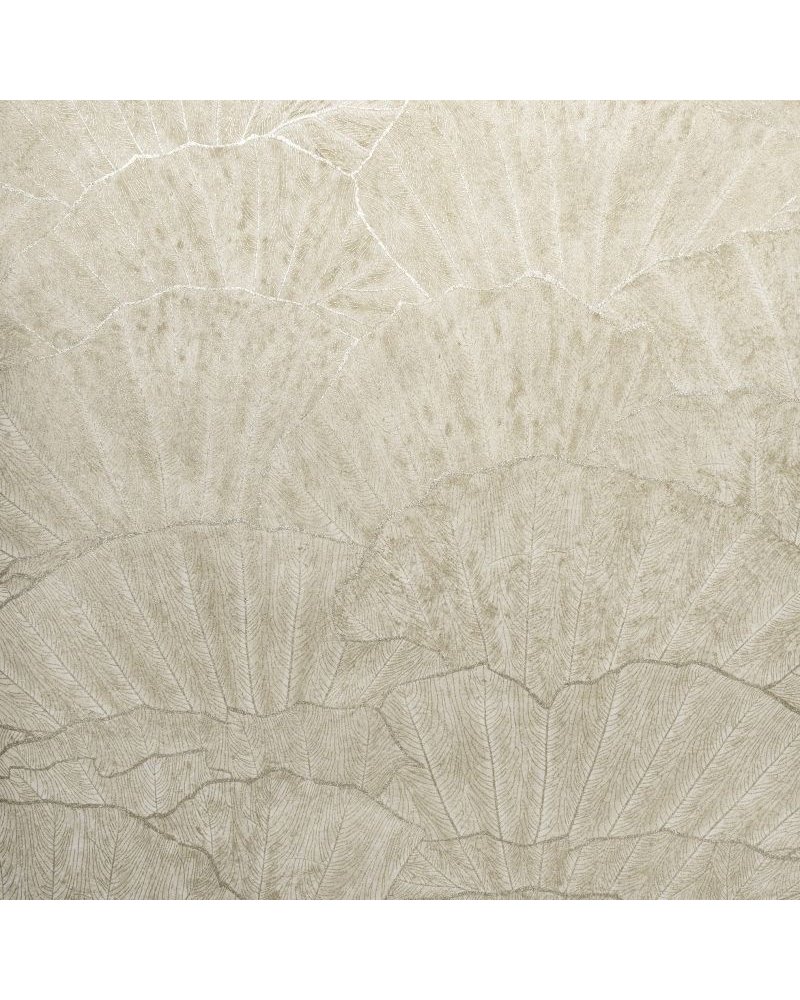 Seashell Beige 65003 Seashell Beige 65003