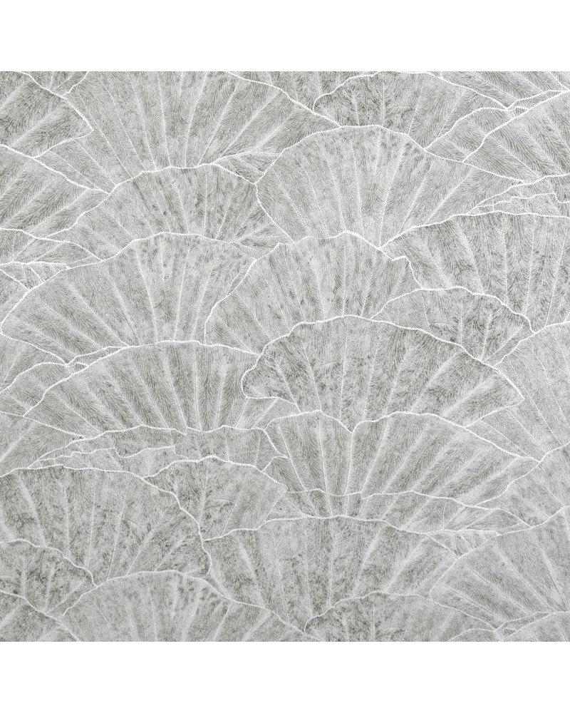 Seashell Cloudy Grey 65002 Seashell Cloudy Grey 65002