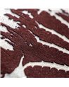 Elephant Leaf Red 81265