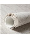 Seashell Old White 65004