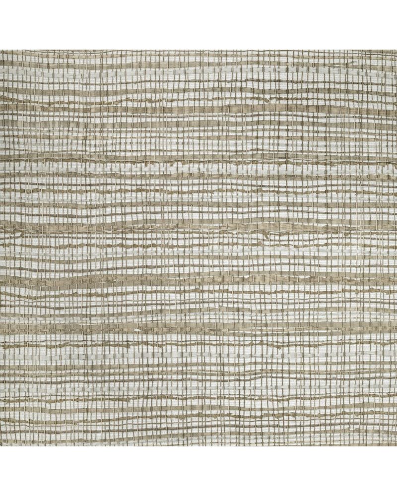 Fondo Pine Nut 27091 Fondo Pine Nut 27091