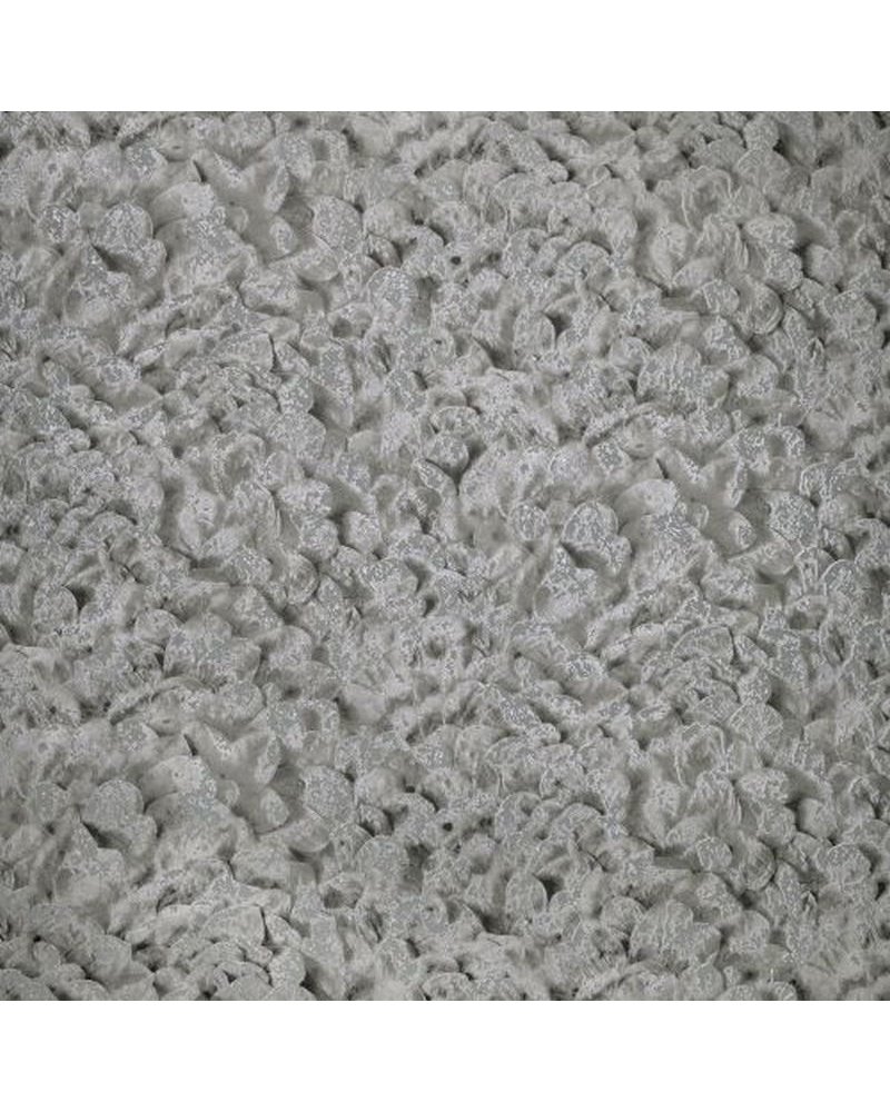 Arco Black Cumin 65309 Arco Black Cumin 65309