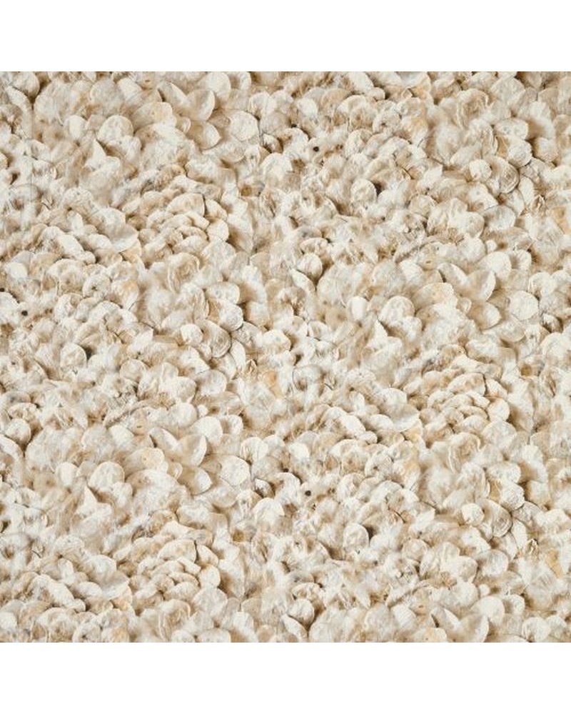 Arco Nutmeg 65308 Arco Nutmeg 65308