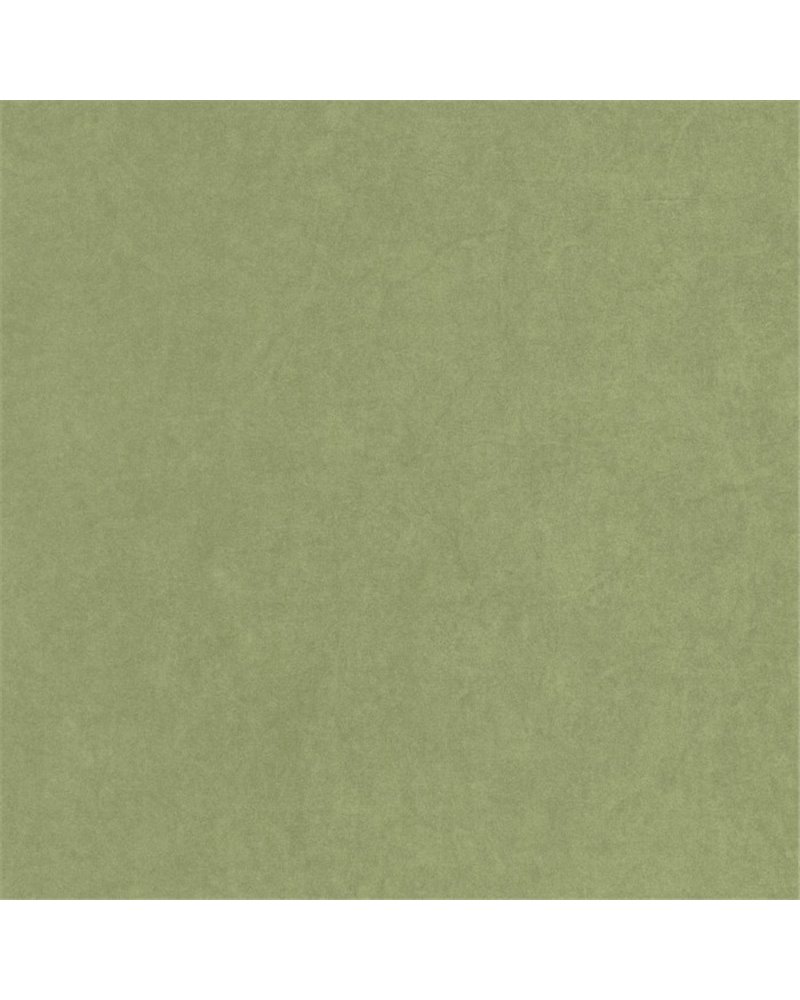 Florescence Kiosque Vert Cactus 82387512 Florescence Kiosque Vert Cactus 82387512