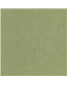 Florescence Kiosque Vert Cactus 82387512