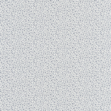 Myosotis Bleu Marine Blanc 89236228