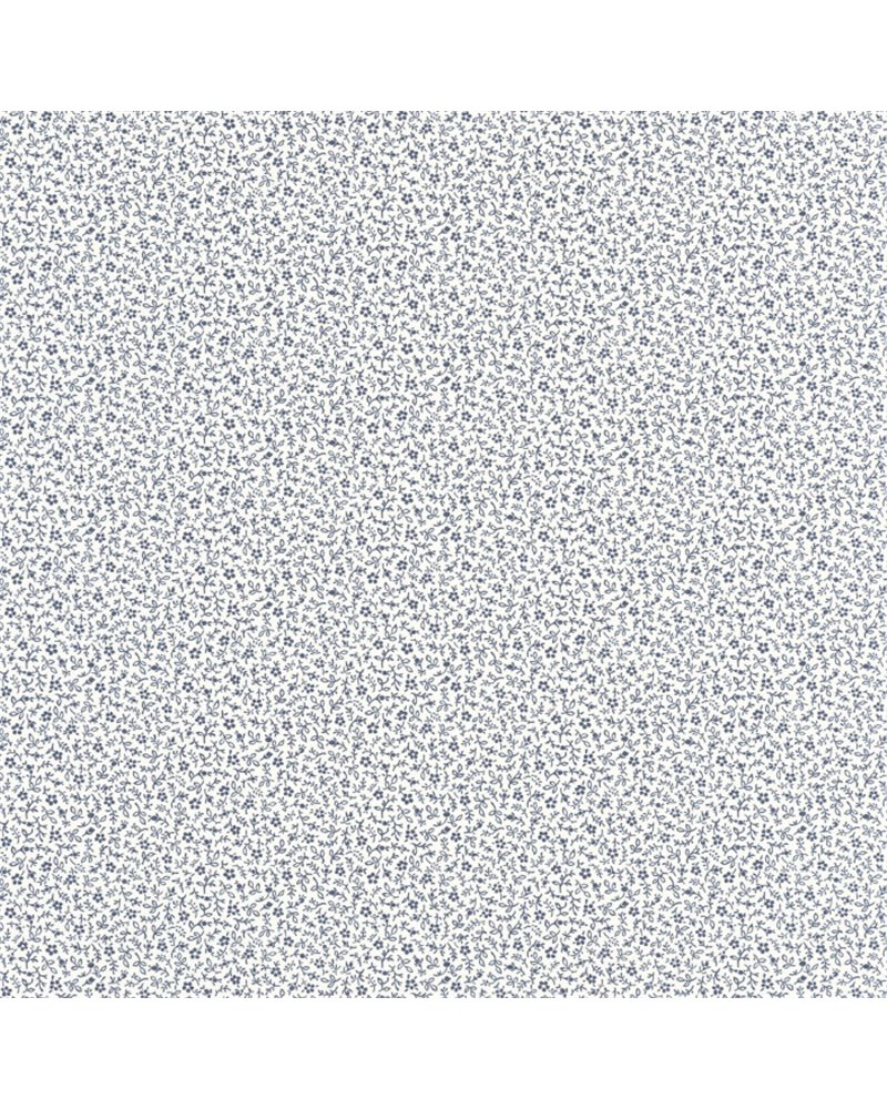 Myosotis Bleu Marine Blanc 89236228 Myosotis Bleu Marine Blanc 89236228