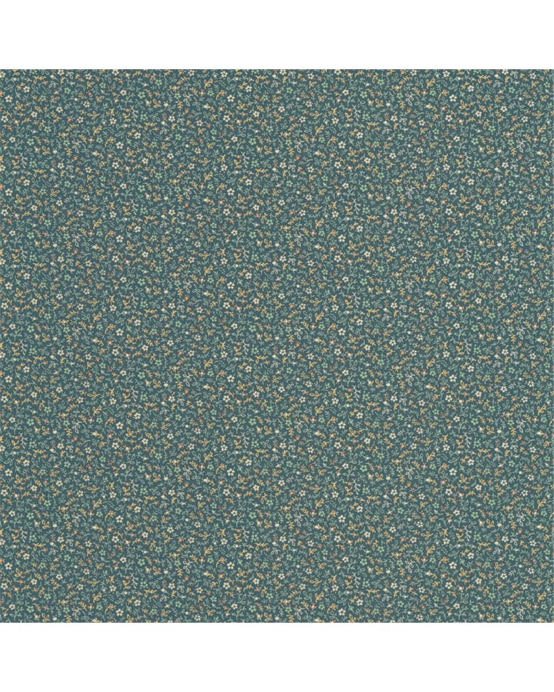 Myosotis Bleu Paon 89236434 Myosotis Bleu Paon 89236434