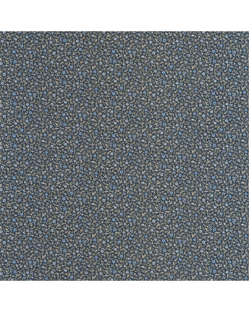 Myosotis Blue Nuit 89236505 Myosotis Blue Nuit 89236505