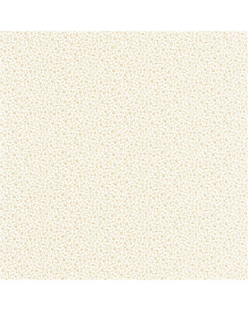 Myosotis Ficelle Blanc 89231111 Myosotis Ficelle Blanc 89231111