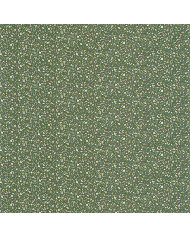 Myosotis Vert Mousse 89237414 Myosotis Vert Mousse 89237414