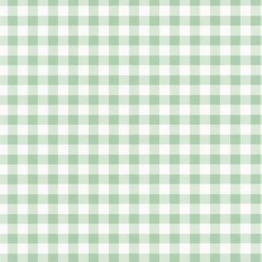 Vichy Vert Celadon 89267202
