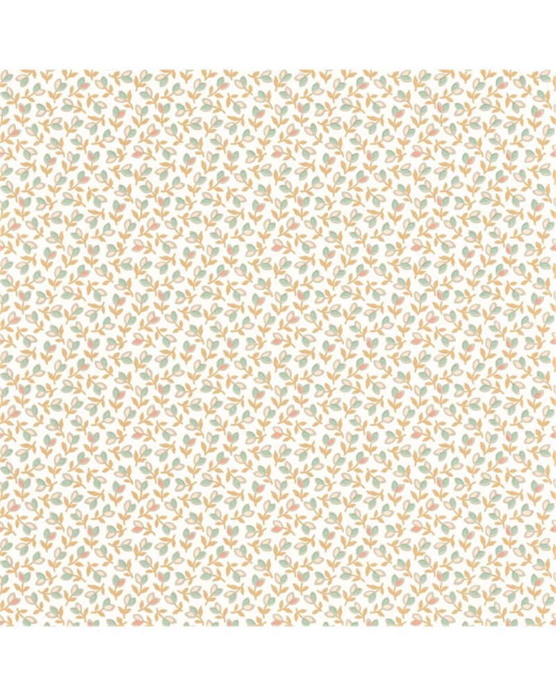 Darwin Tulip Camel Rose 89251323 Darwin Tulip Camel Rose 89251323