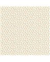 Darwin Tulip Camel Rose 89251323