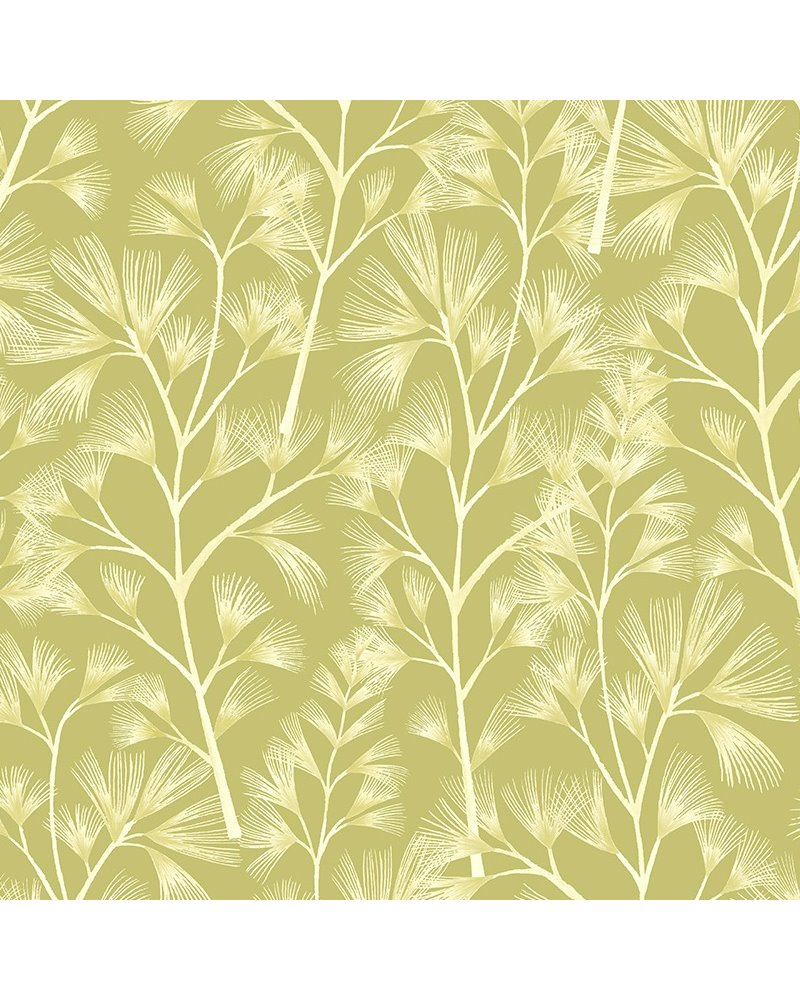 Arabella Chartreuse JRD50117W