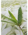 Arabella Green Cream JRD50120W
