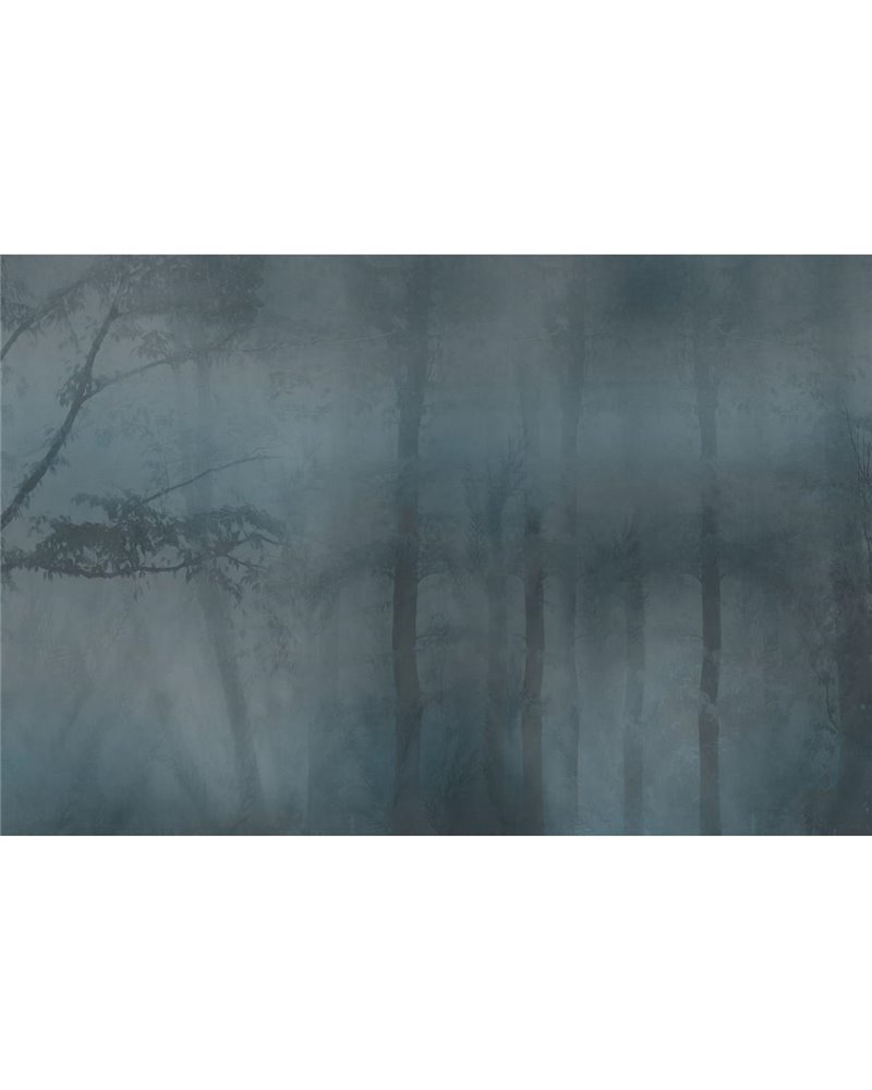 MISTERY GLF832A MISTERY GLF832A